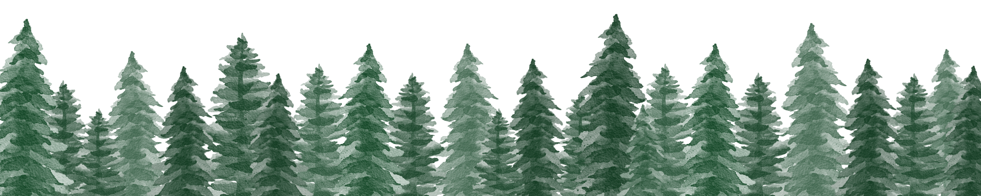 An enchanted forest of towering evergreens painted in watercolors of greens and greys. Their majestic shape inspires images  of the high peaks of Colorado.  Fort Osage Christmas Trees and Wedding venue enchanted forest is just minutes downtown  from Kansas City