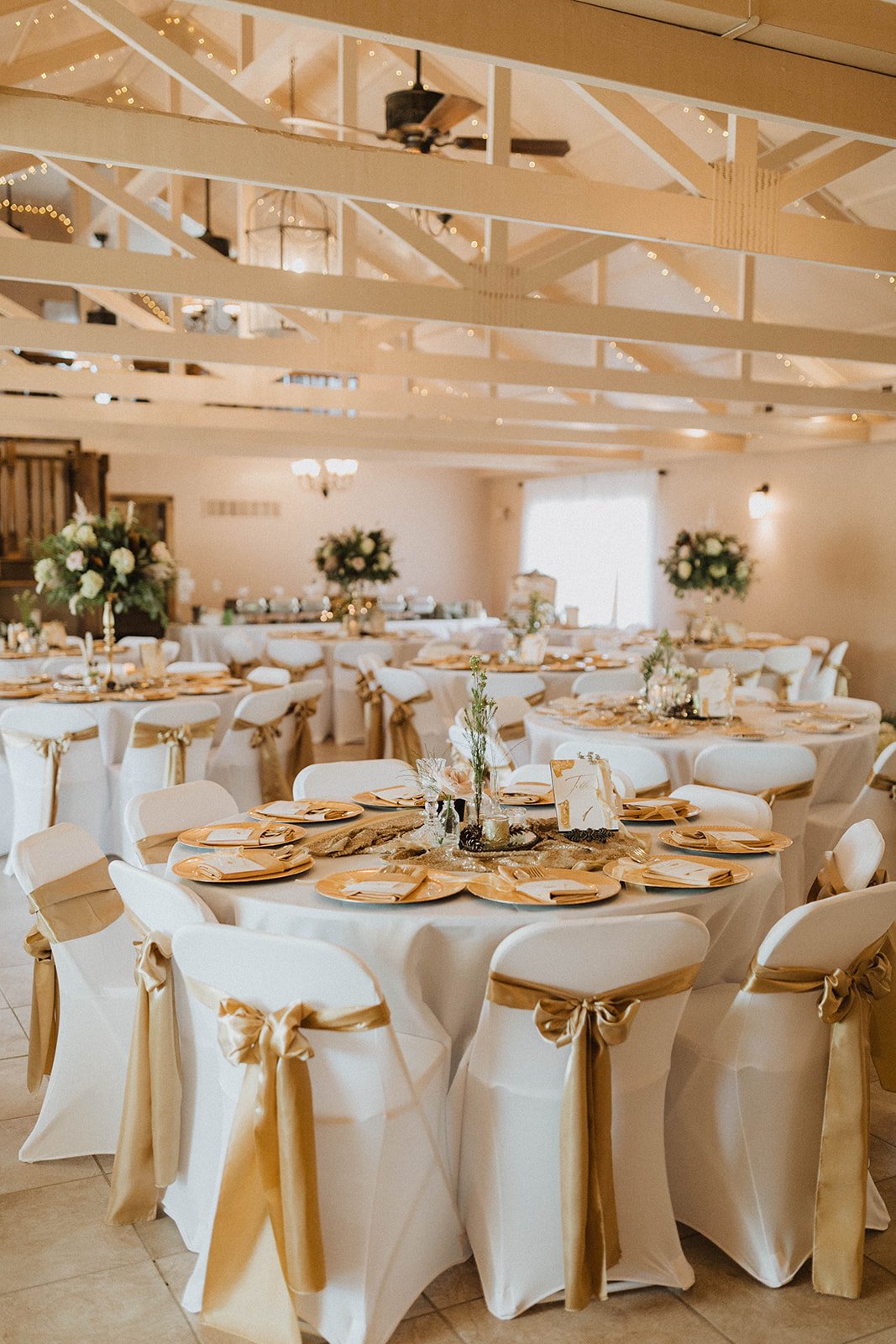 Kansas City's White Pine Lodge all set in white and gold for a wedding reception that is about to occur in the fall. The warm beige walls create a warm canvas for the elegant white linen round tables and chairs. Touches of gold is everywhere from the chair sashes to the plates to the centers. At Fort Osage Wedding Venue and Christmas Tree Farm near down town Kansas City